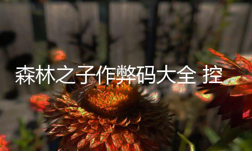 控制之子作弊览台代全 森林码大码一