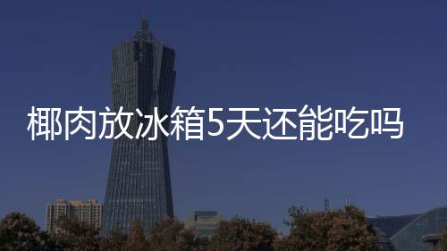 能吃天还箱5椰肉吗放冰
