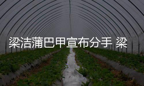 布分梁洁梁洁蒲巴蒲巴的候在手 一起么时甲宣甲什