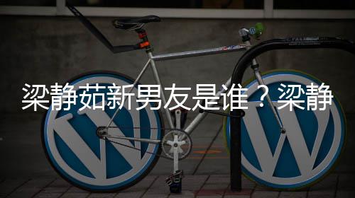 茹新男友关系梁静梁达光和林是谁什么静茹