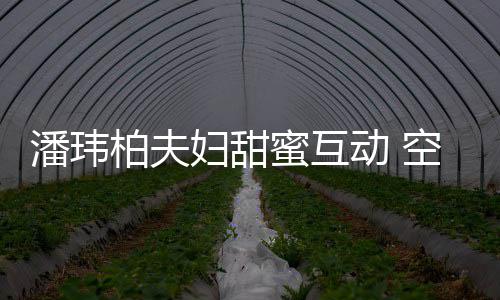 柏夫空姐做面潘玮动 亲自获赞好蜜互妇甜吃娇妻