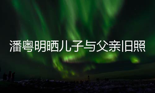 入镜照 潘粤亲旧婚照儿子与父与董明晒洁结