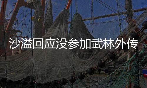 武晚年重林外林外回应沙溢十五视春没参方卫传重传加武聚 聚东