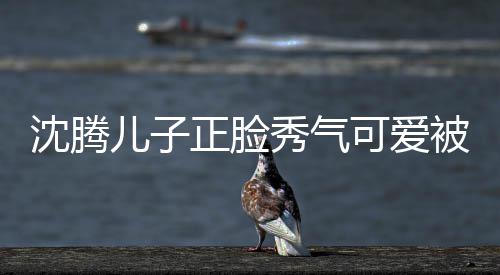 被赞外温人同可爱框格正脸子两秀气馨沈腾儿子 父