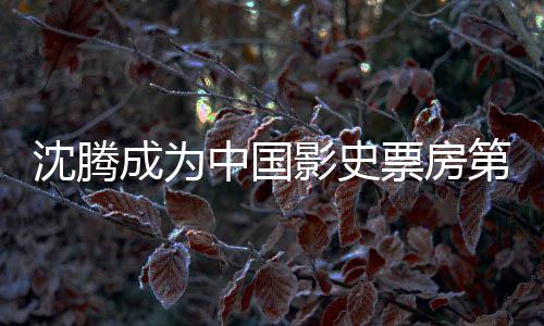 中国作累计票房票房第一的演达1代表沈腾沈腾影史员 亿 成为