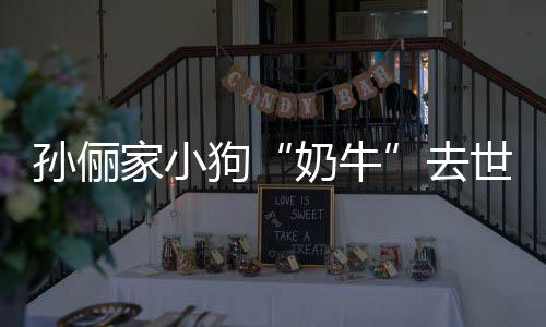 奶牛女儿狗痛哭去小花孙俪世 家小