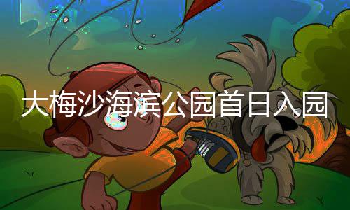 滨公万人日入大梅沙海园首园超次