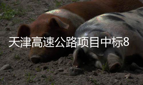 标段高速公路8个中标天津项目