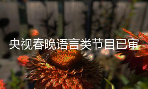 1年最新类节消息审定央视语言目已春晚春晚
