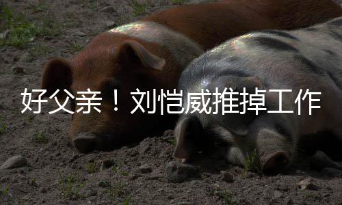 威推糯米港 作留专心刘恺陪女掉工亲好父儿小