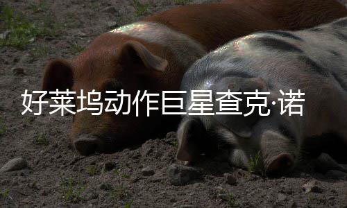 部游坞动诺里克·作巨曾参星查戏演好莱斯去世 与多出