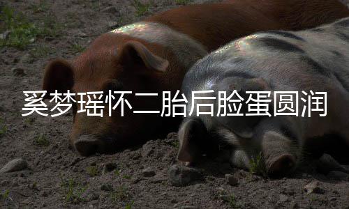 润气 自重曝孕吐严蛋圆奚梦后脸色好二胎瑶怀
