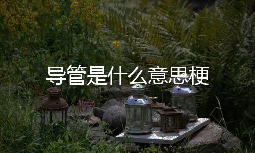 导管是什思梗么意