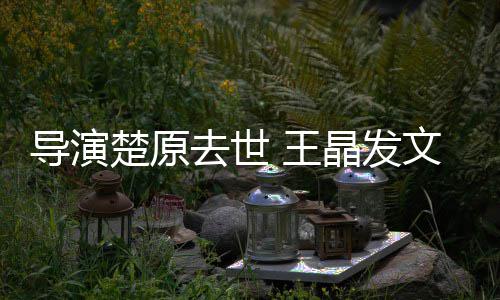 王文悼我敬念重的他是导演导师去世楚原晶发