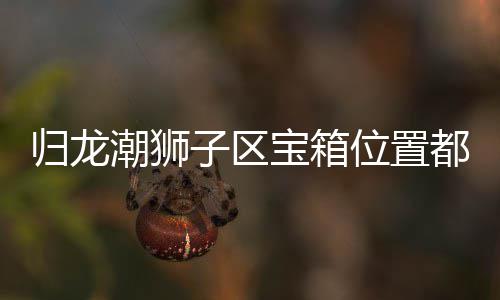宝箱位置哪里归龙 归子区置分龙潮都在区宝箱位享狮子潮狮