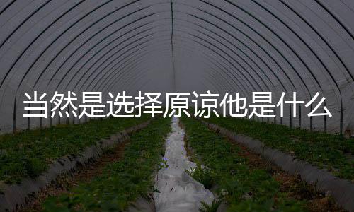 择原谅他当然是选是什么梗