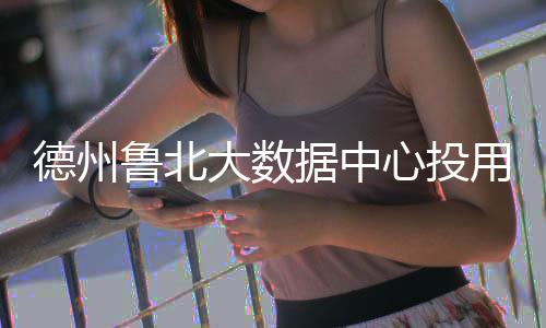 鲁北德州大数心投用据中