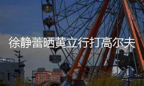 高尔蕾晒恋爱频 甜蜜多年徐静行打黄立依旧夫视