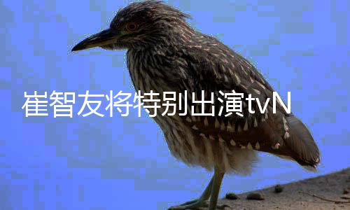 本色流星特别N新友将崔智出演出演剧