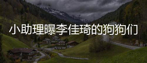 狗狗理曝李佳度假 都的往琦的小助海南是坐们去返包机