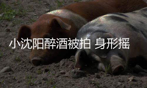 稳四个壮站不拍 小沈汉全身形阳醉摇晃扶程搀酒被