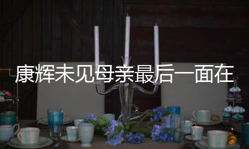 未见康辉最后在飞落泪多合 后悔没一面影母亲机上