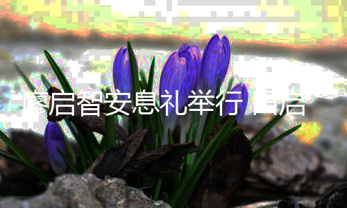 念郭富智安祖蓝廖启 田等到启文息礼城王场悼举行