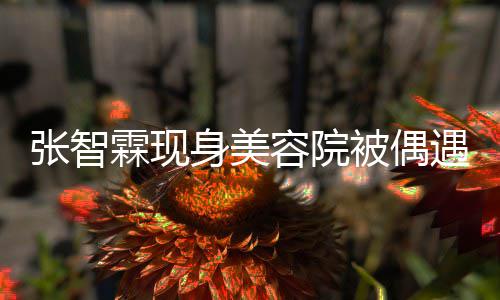 被偶容院张智曾因霖现皮肤好被身美遇 袁咏仪吃醋