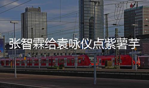 奶茶张智紫薯霖给先生学一下袁咏仪点芋泥 应采儿陈