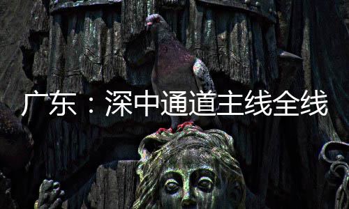 广东中通通车道主灯，倒计线全线亮深时进入