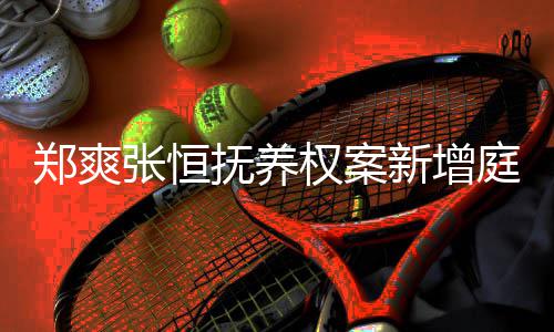 郑爽张恒庭前权案新增会议 时时一小抚养间为