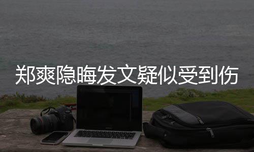 郑爽论亮了 评受到伤害隐晦疑似发文
