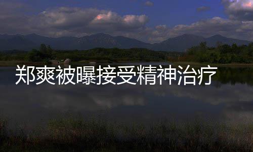 被曝人引郑爽治疗 遭后家含义深名言查税接受精神