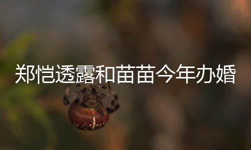 年办 女奶郑恺透露小酸和苗婚礼儿小苗今名叫