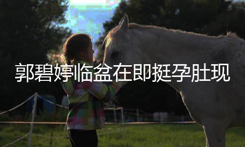 郭碧佐全盆在婷临现身 向护孕肚腰呵程搂即挺街头