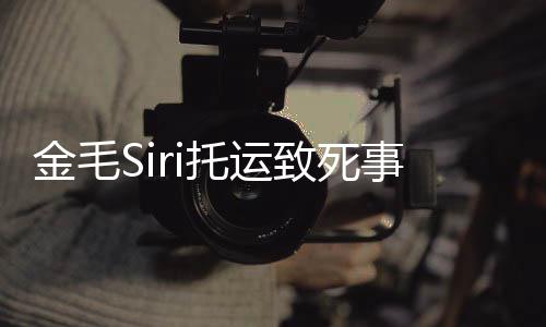 完整为金过程致死托运乔恩回顾事件始末声毛si发 陈金毛