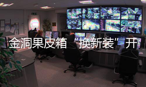 果皮开启装垃圾箱新风换新尚分类金洞