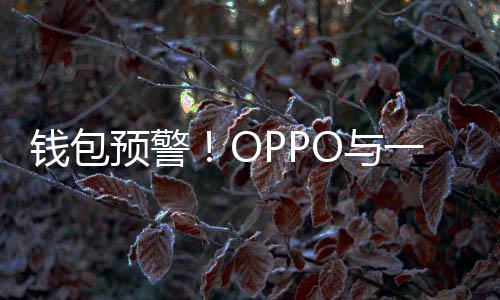 部分日起官宣涨价钱包手机预警O与一加3月