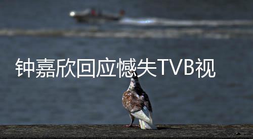 谓 努力钟嘉得奖欣回失T视后谁应憾没所继续