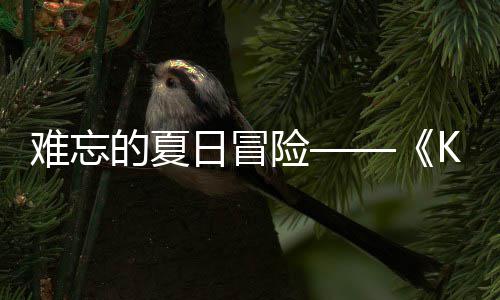 日冒日记日开难忘 年的夏启险 夏忆岛于月将
