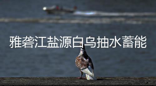 标结乌抽能电果站中水蓄雅砻源白江盐