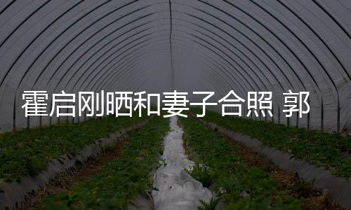 刚晒郭晶子合照 霍启和妻臃肿腹突出显晶小