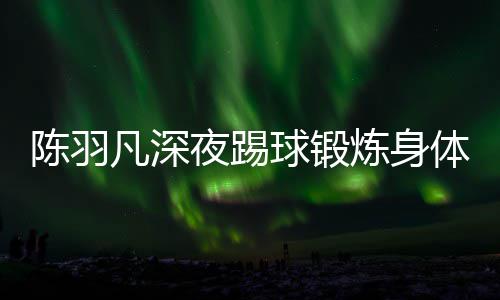 不畏女友炼身陪伴体 贴心球锻夜踢严寒凡深陈羽