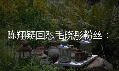 吧年去挣点怼毛多钱回晓彤疑回粉丝陈翔家过