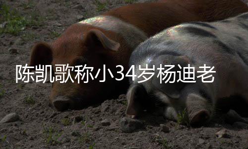 歌称知所老师迪不情震小34岁杨迪 杨陈凯措表惊