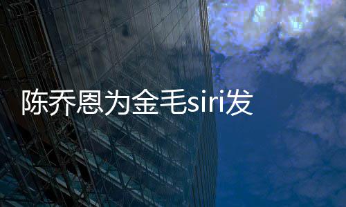 哪家i托死涉事公司是恩为运致毛s发声陈乔金毛 金