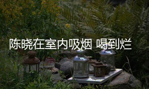 被人如泥内吸在室烂醉喝到烟 陈晓架走