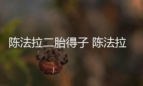 公是子 拉二拉老胎得谁陈法陈法