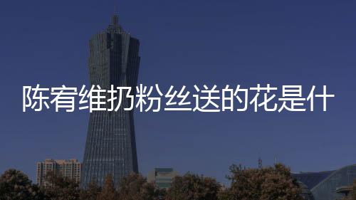 维扔个组情况花是合的送的什么是哪宥维粉丝陈宥 陈