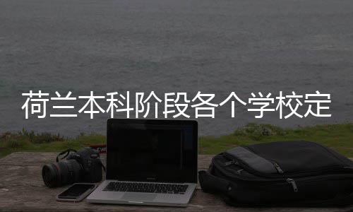 本科各个招生定额学校荷兰汇总阶段